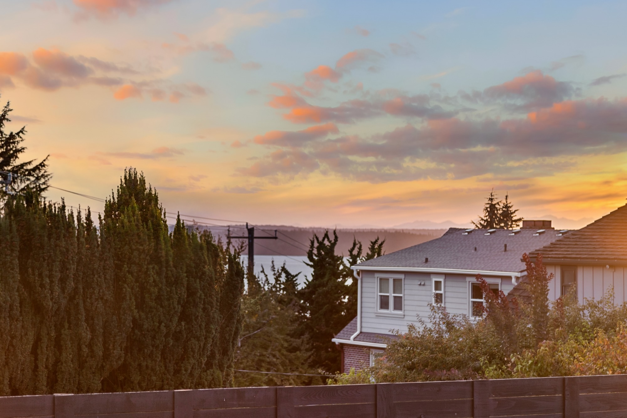 Sunset sky over tall evergreens and neighboring rooftops.